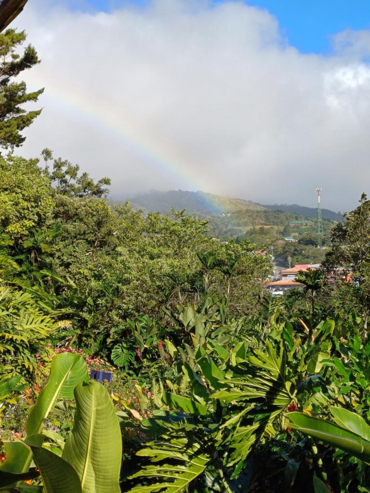 Hotel Claro De Luna Monteverde Екстер'єр фото