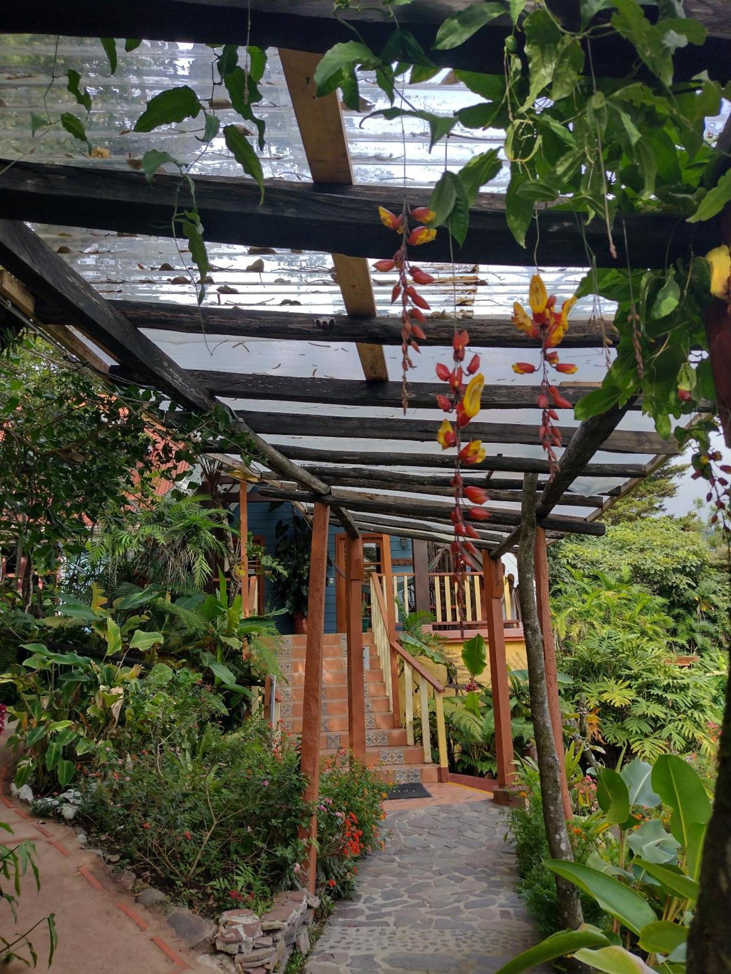 Hotel Claro De Luna Monteverde Екстер'єр фото